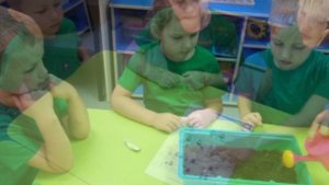 Всероссийский урок "Эколята - молодые защитники природы" "Чудо на подоконнике"#УрокЭколят2022 #Друзь