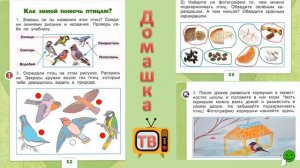 Как помочь птицам зимой? страницы 52-54 - Окружающий мир (рабочая тетрадь) - 1 класс 1 часть