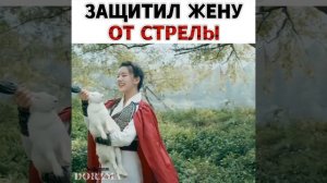 Дорама: Роман тигра и розы