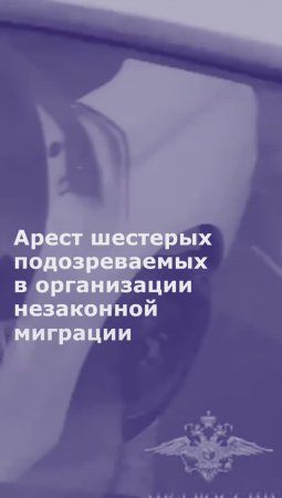 Арест шестерых подозреваемых в организации незаконной миграции