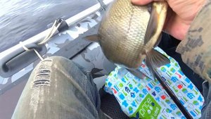 Рыбалка на скользяший поплавок Онежское озеро.