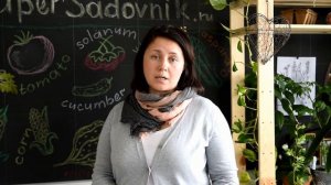 Как бороться с борщевиком на участке