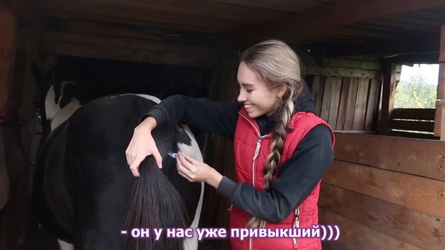 МОЙ ДЕНЬ на КОНЮШНЕ с Хардином / Лечу лошадь смотреть онлайн