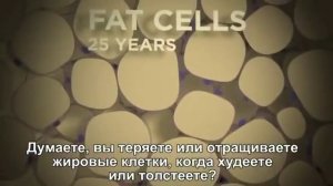 Клетки нашего организма обновляются полностью каждые 7 лет