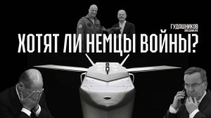 Хотят ли немцы войны?