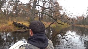 Осенняя рыбалка на колабашки поставушки кружки в Беларуси на живца на реке с лодки