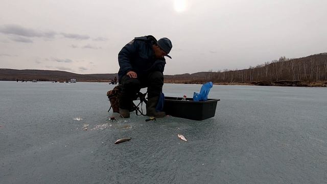 Рыбалка БЕРЁЗОВСКОЕ (часть 1). смотреть онлайн