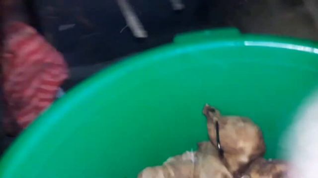 Купить копчёные перепелов/Копчение перепелов в домашних условиях