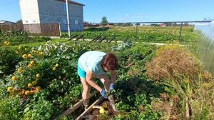 Жизнь в деревне