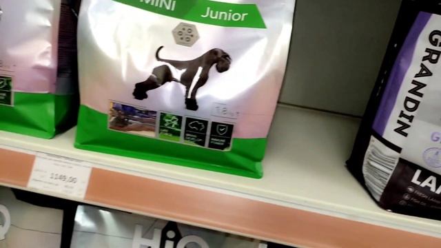 Чем кормить 13-го? Йорка???выбор сухого корма? смотреть онлайн