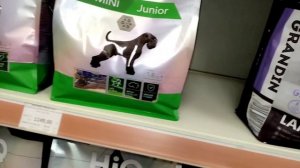 Чем кормить 13-го? Йорка???выбор сухого корма?