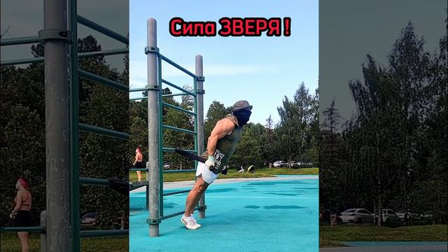 #Тренировка.Мощное упражнение! Обязательно прочти описание!