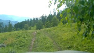 Алтай 2023.  Поездка на смотровую площадку г. Белуха