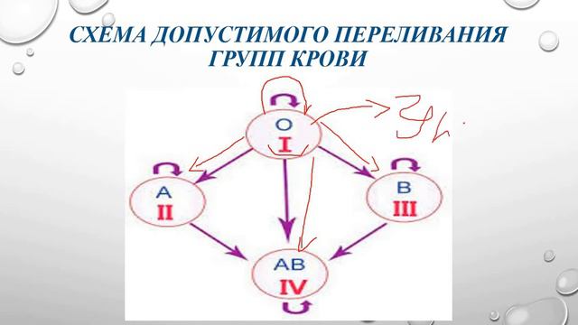 Биология. Урок №23. Группы крови смотреть онлайн