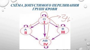Биология. Урок №23. Группы крови