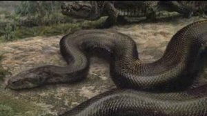 Титанобоа.Факты о которых ты не знал.Жива ли эта гигантская рептилия?Титанобоа страх всех существ.