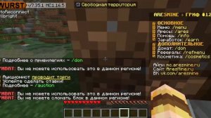 Minecraft  1 16 5 арис майн