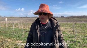 09 - ПРАВИЛЬНАЯ обрезка ВИШНИ и ЧЕРЕШНИ весной после посадки и до 3 лет. Как обрезать косточковые и