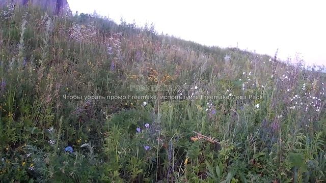 хакасия озеро большое ловля окуня на отводной поводок смотреть онлайн