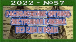 Расположение органов. Почему так, а не иначе? Клизмы. За или против? Праноед с двухлетним опытом.