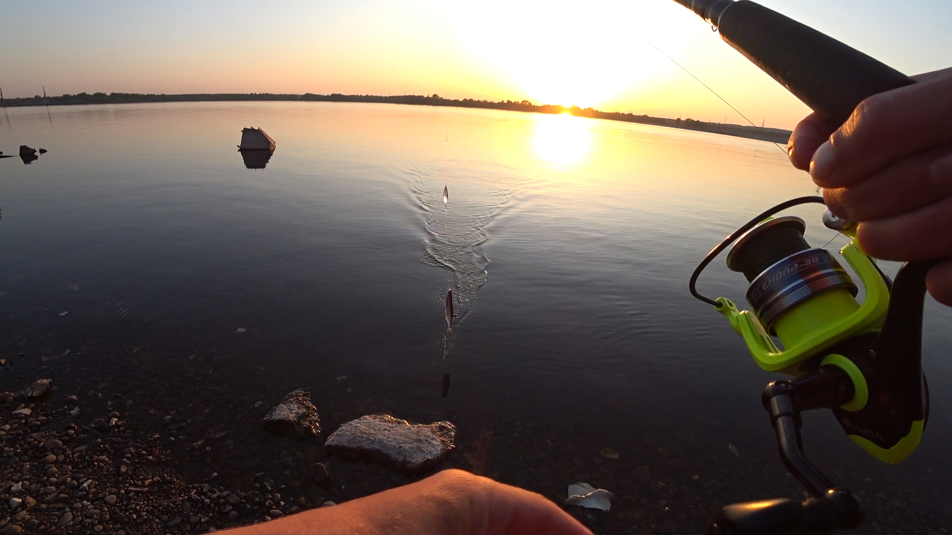 Fishing always. Ловля чехони на бомбарду. Рыболовный стал. Ловля чехони на дорожку. Насть поплавок на чехонь бомбарда.