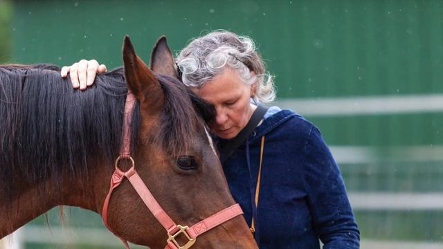 Чара Женские Ретриты смотреть онлайн