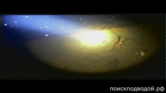 На Волге найден затонувший дебаркадер