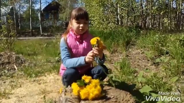 Как плести простой венок из одуванчиков. смотреть онлайн