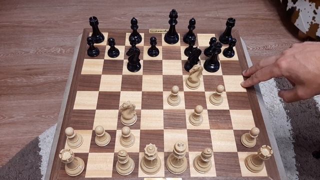 Шахматы. Конь и Пешка учат Ферзя играть в шахматы. Шикарная шахматная ловушка.