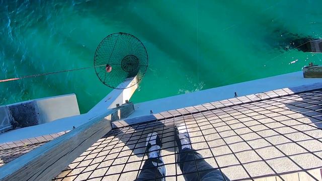 That Secret Sauce | Winter SheepsHead Tactics | Fishing Navarre, Florida Pier смотреть онлайн