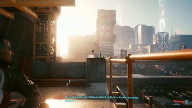 Прохождение Cyberpunk 2077 - Часть 11: Промышленный парк "Арасака"