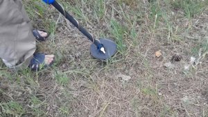 Металлоискатель Пират.