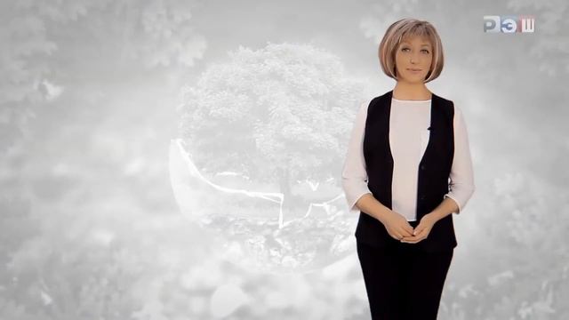 Выделение у животных смотреть онлайн