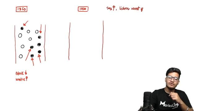 Evolution Mega-Marathon Lecture | BioBali Series for NEET ft. Vipin Sharma смотреть онлайн