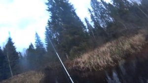 Форель в малых речках Тверской области. Осень 2019