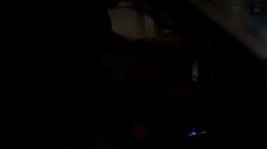 перевозка зверюг мохнатых на гречку.mp4