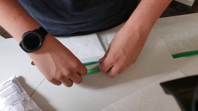 Cold Stratification of Camellia Sinensis (Tea) Seeds смотреть онлайн