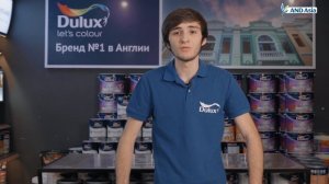 ИНТЕРЬЕРНАЯ КРАСКА DULUX: КАК ВЫБРАТЬ СТЕПЕНЬ БЛЕСКА, ОСОБЕННОСТИ МАТОВОЙ И ГЛЯНЦЕВОЙ КРАСКИ