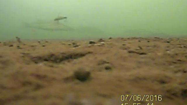 ПОВЕДЕНИЕ СУДАКА ПРИ АТМОСФЕРЕ 732 мм Р.С смотреть онлайн