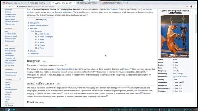 КЕМ ПИТАЮТСЯ В КИТАЕ? | КАК Я СПАС КОТА ОТ ПОЕДАНИЯ смотреть онлайн