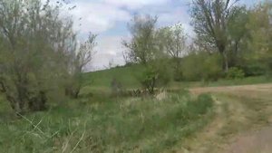 Покатушки на Хонда Дио 34 и Хонда такт 16. #ХондаДио