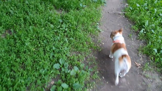 Подводная лодка в степях Украины или прогулка в ожидании дождя!