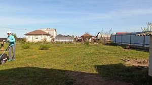 Как создать красивый газон на участке