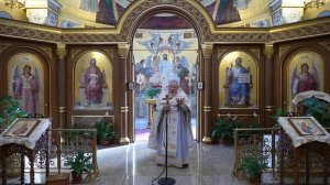 Встреча жизни и смерти. Проповедь священника Георгия Полякова.