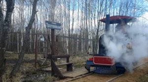 Паровоз на Переславской узкоколейке. Дачная железная дорога. Narrow gauge steam.