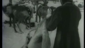 Лыжная экспедиция на мыс Челюскин