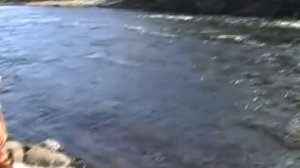 таймень на виброхвост.vob