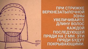 Стрижка "ПАЖ" - каре с вогнутой чёлкой: схема стрижки