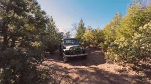 Willys Truck Warehouse Pickup 4 Wheeling in 4k