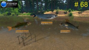 река Пра. ч.17  На пути к серебряному трофею: пескарь, чехонь и еще раз ёрш.  # 68  Fisher Online